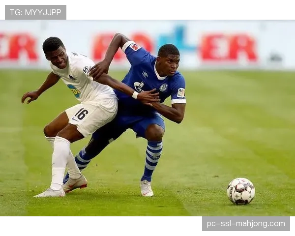 德甲外部投资资金分配：45%用于俱乐部基础设施建设